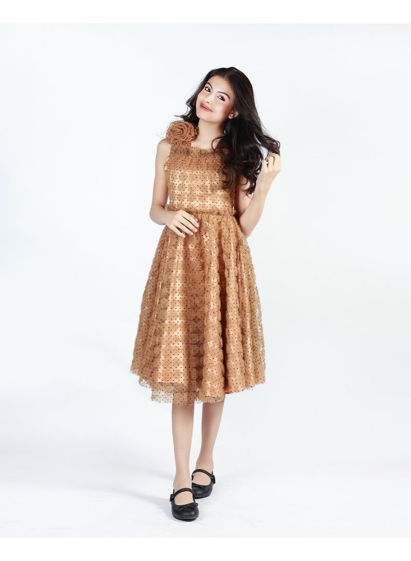 Obaha velvet rose dress - Image 3